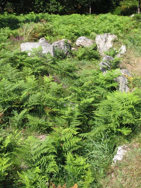 Dolmens de Man&eacute; Braz